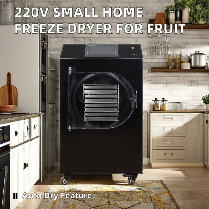 Automatic PLC-Controlled Dryin - Dried Fruit recension och pris